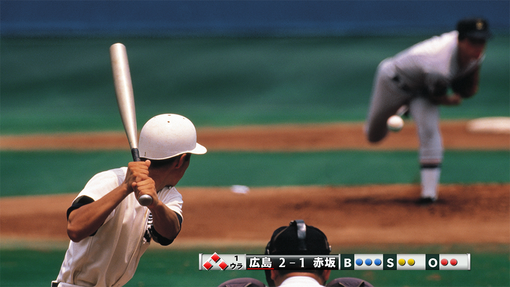 野球システム（ファイル版）製品画像